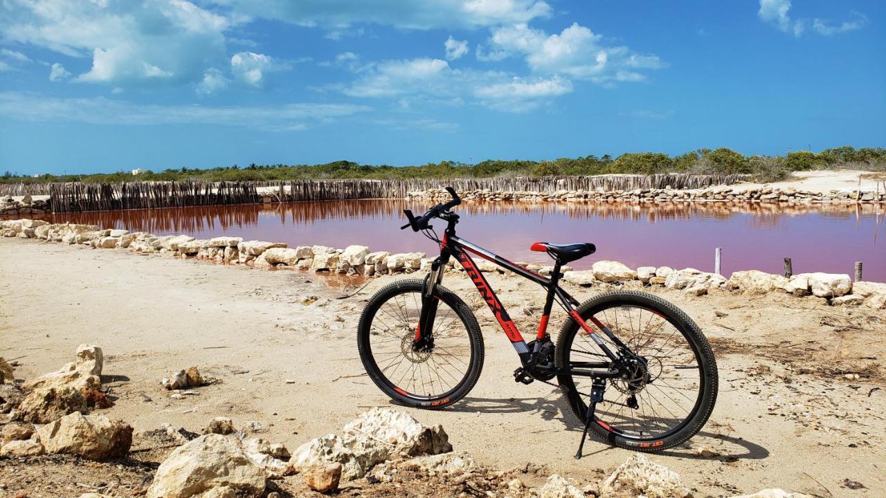 Reef Yucatan All Inclusive & Convention Center Merida Ngoại thất bức ảnh